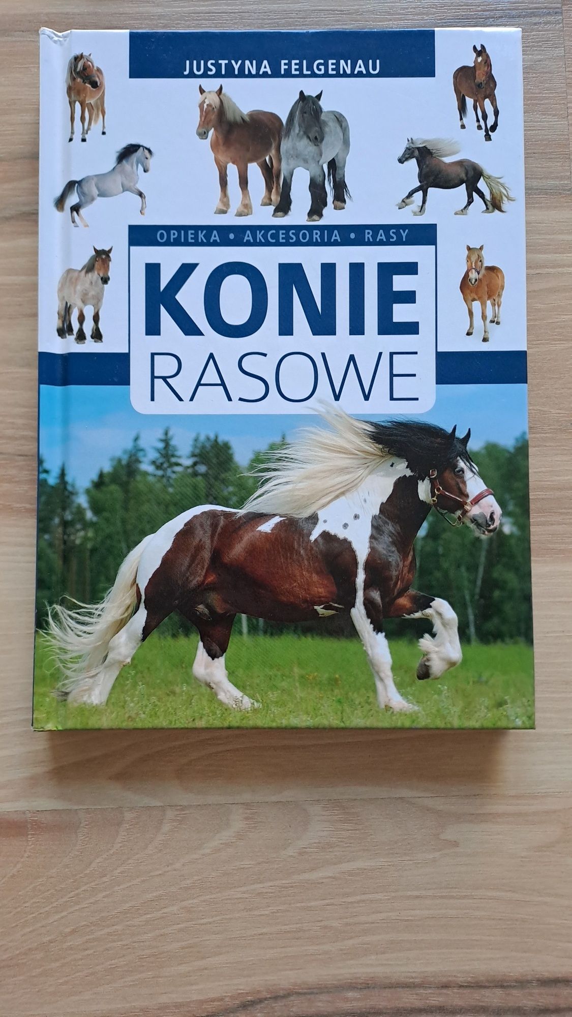 Książki o koniach