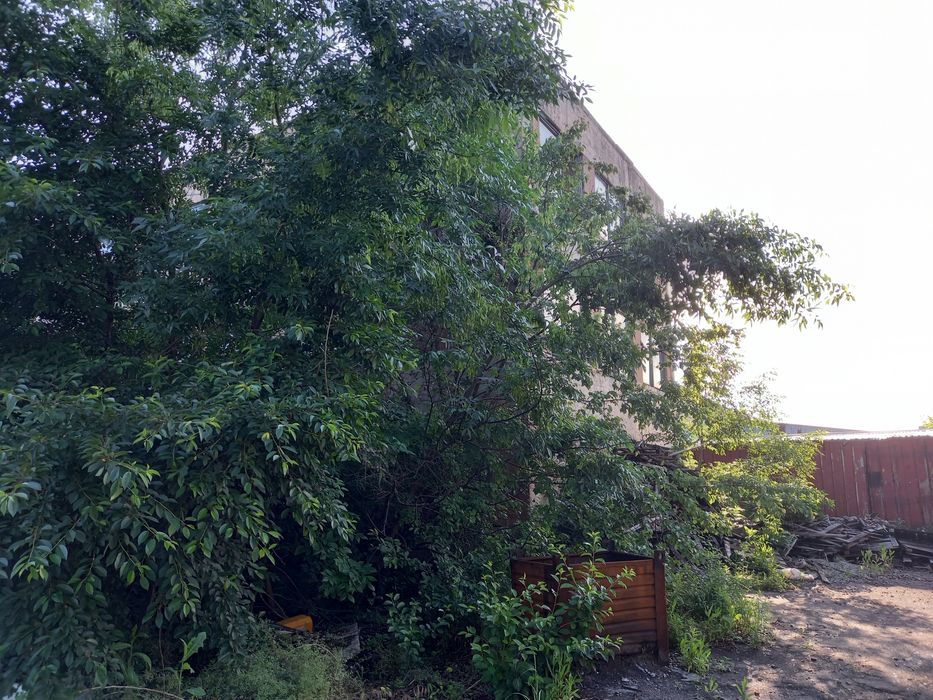 Продам промышленную базу (земля + помещение)