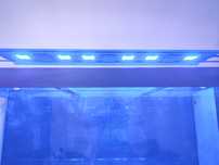 Lampa do akwarium Maxspect    R 5 -300
