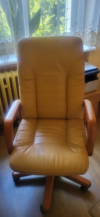 Fotel skórzany do gabinetu