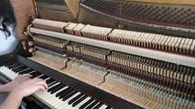Piano Vertical Acústico em Ótimo Estado e Afinado