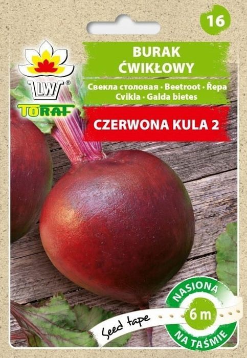 na taśmie Burak ćwikłowy CZERWONA KULA 2 - 6 m taśmy (Beta vulgaris L)