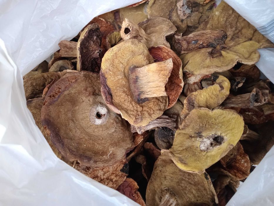 Гриби білі, сушені в печі 3 сорту