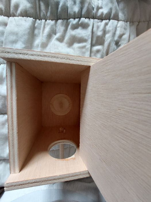 Ninho piriquito novo