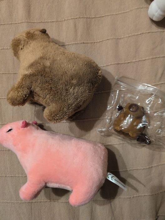 Kapibary - maskotki i gniotek