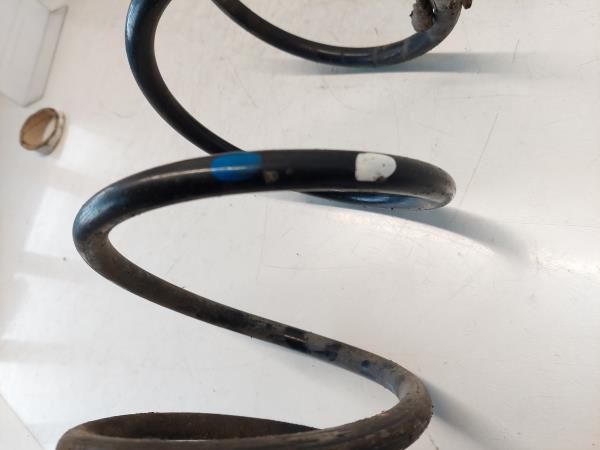 Mola de suspensão trás direita RENAULT Megane II (BM0/1_, CM0/1_)