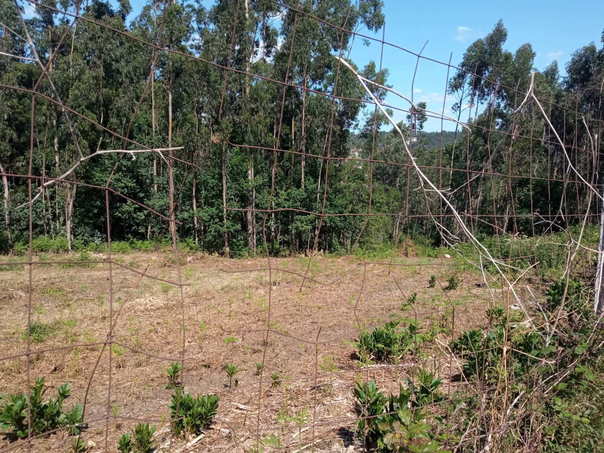 Terreno para construção