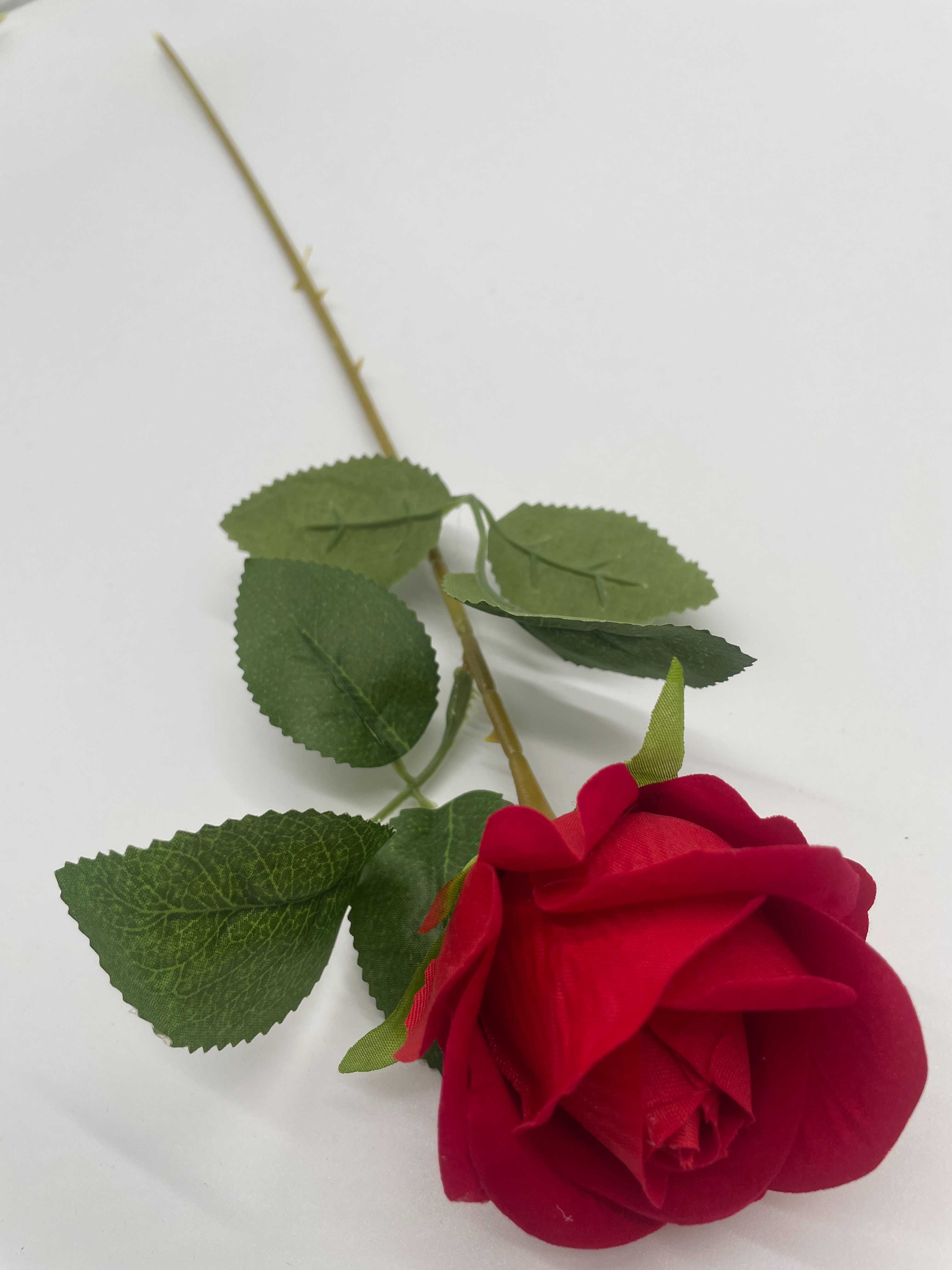 Róża 50 cm CZERWONA