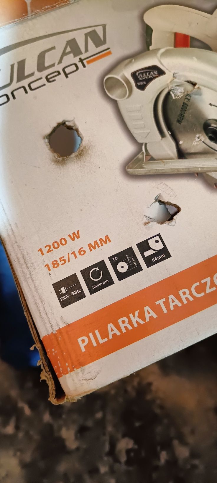 Pilarka Tarczowa