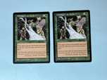 Magic the gathering , Earthcraft