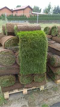 Trawa z rolki, rolka trawy, trawa rolowana, trawnik, producent