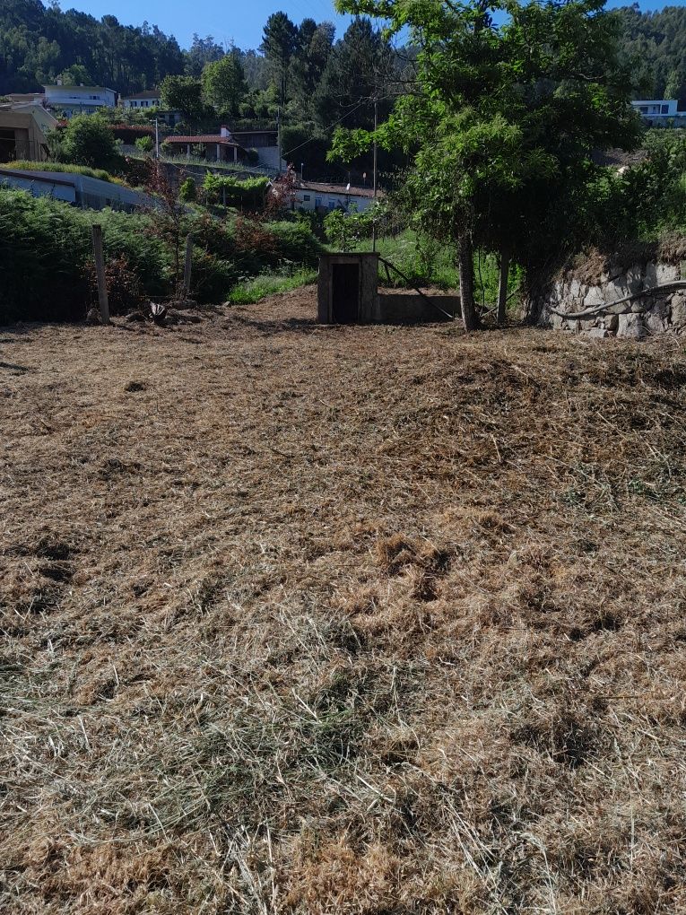 Limpeza de terrenos