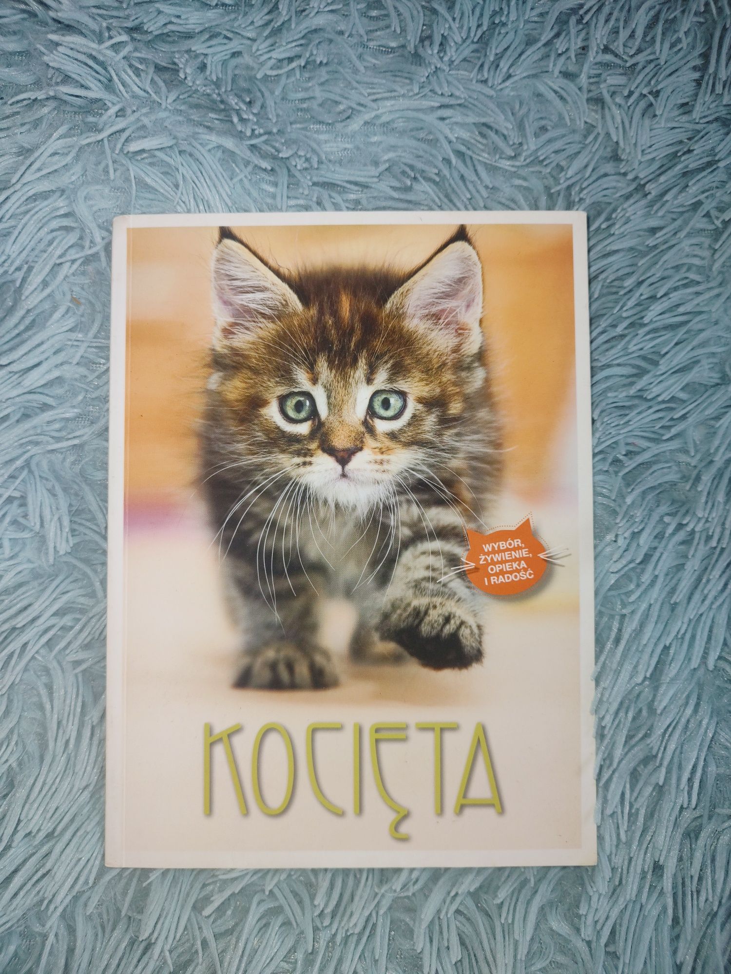 Kocięta - poradnik dla miłośników kotów.