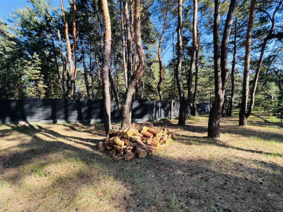 Участок Обуховка катеджный поселок Сосновый Берег лес река