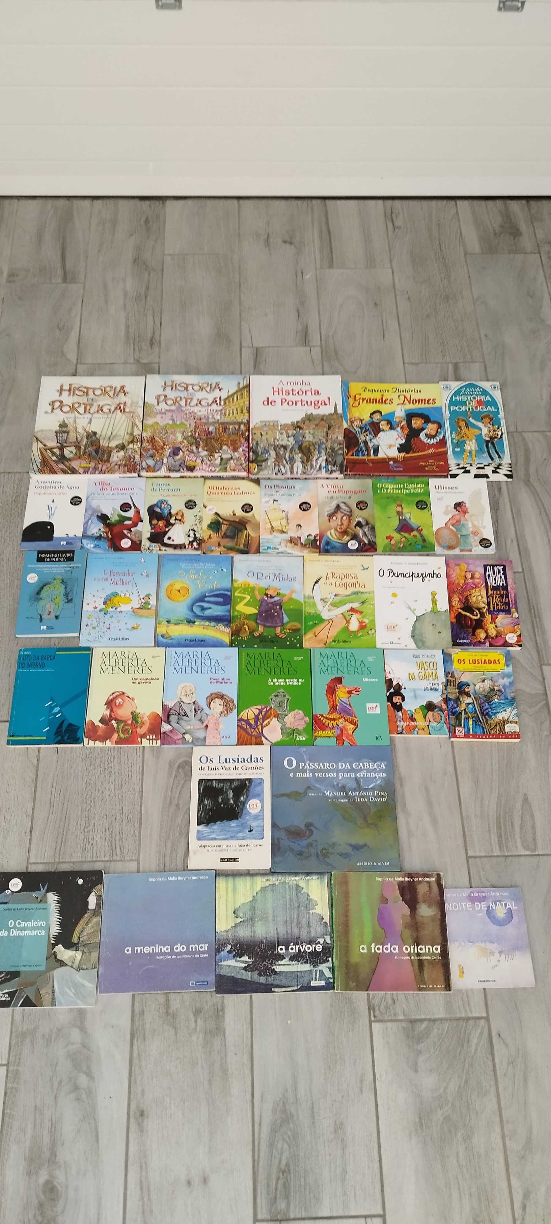 várias coleções de livros infantis didáticos