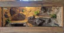 Terrarium 120x40x60