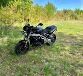 Triumph Speed Triple 955I (Hornet,BC,gs)