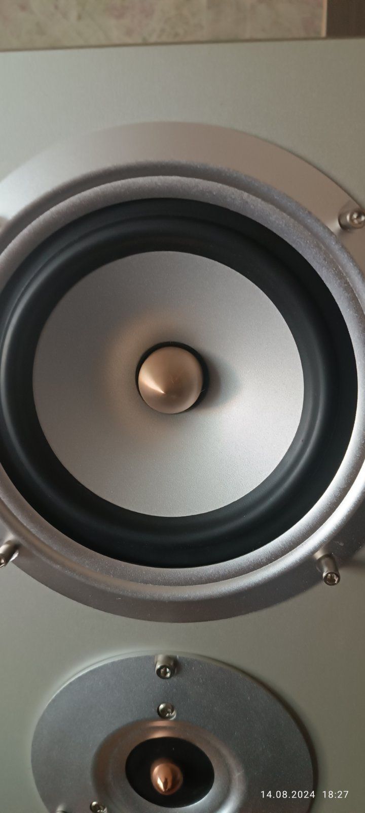 Акустика Swans D200R