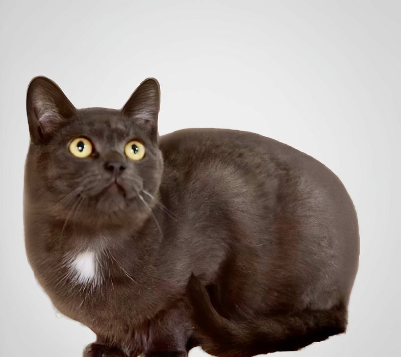 Лаура шукає свою сердечну родину!