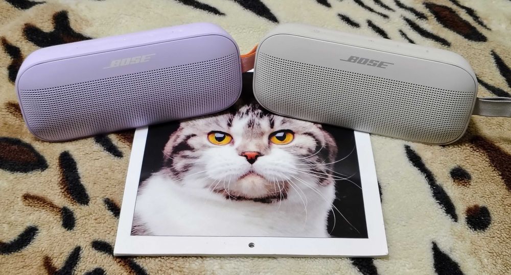 Портативна колонка Bose SoundLink Flex Bluetooth Waterproof Speaker