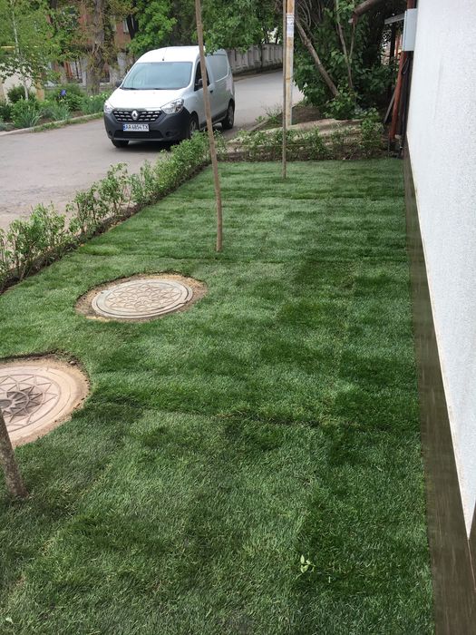 Рулонный газон , автоматический полив , аэрация, покос.