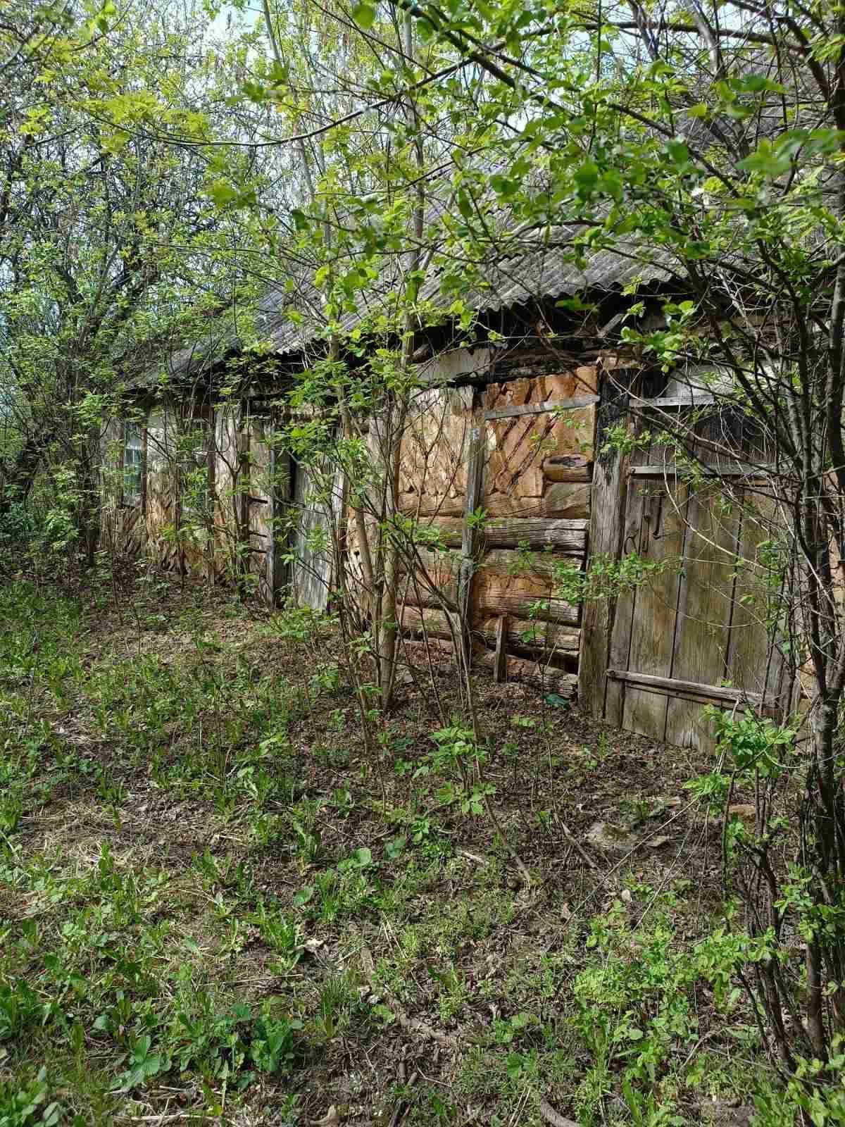 Продам земельну ділянку Київська обл, с. Грузьке