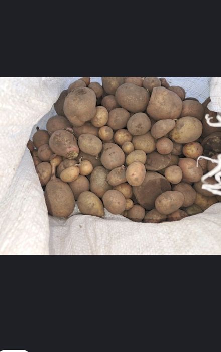 Продам дрібну картоплю.