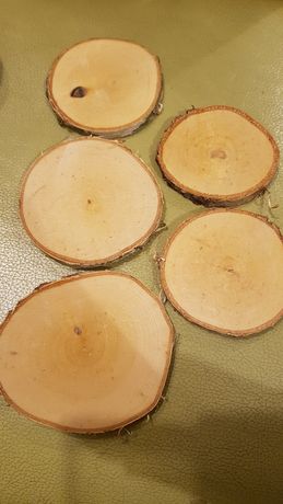 Zestaw plastry drzewne brzoza drewna plastry 5 sztuk