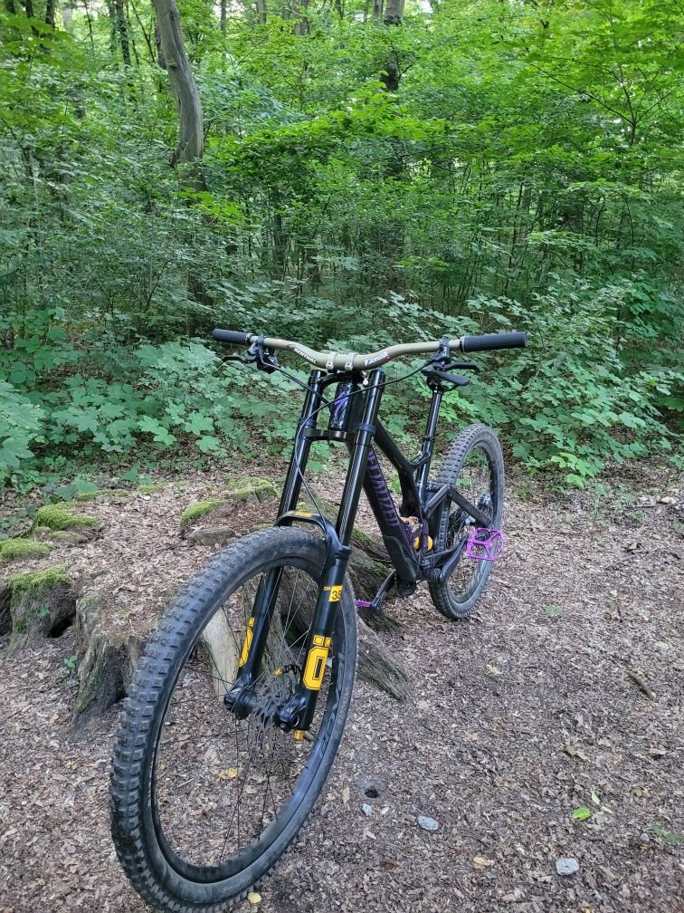 Specialized demo race (Okazja)