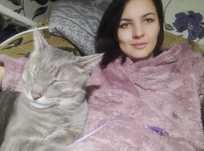 Передержка 100 грн