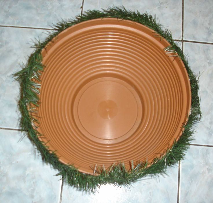 Doniczka,,osłonka z choiną, stroik.