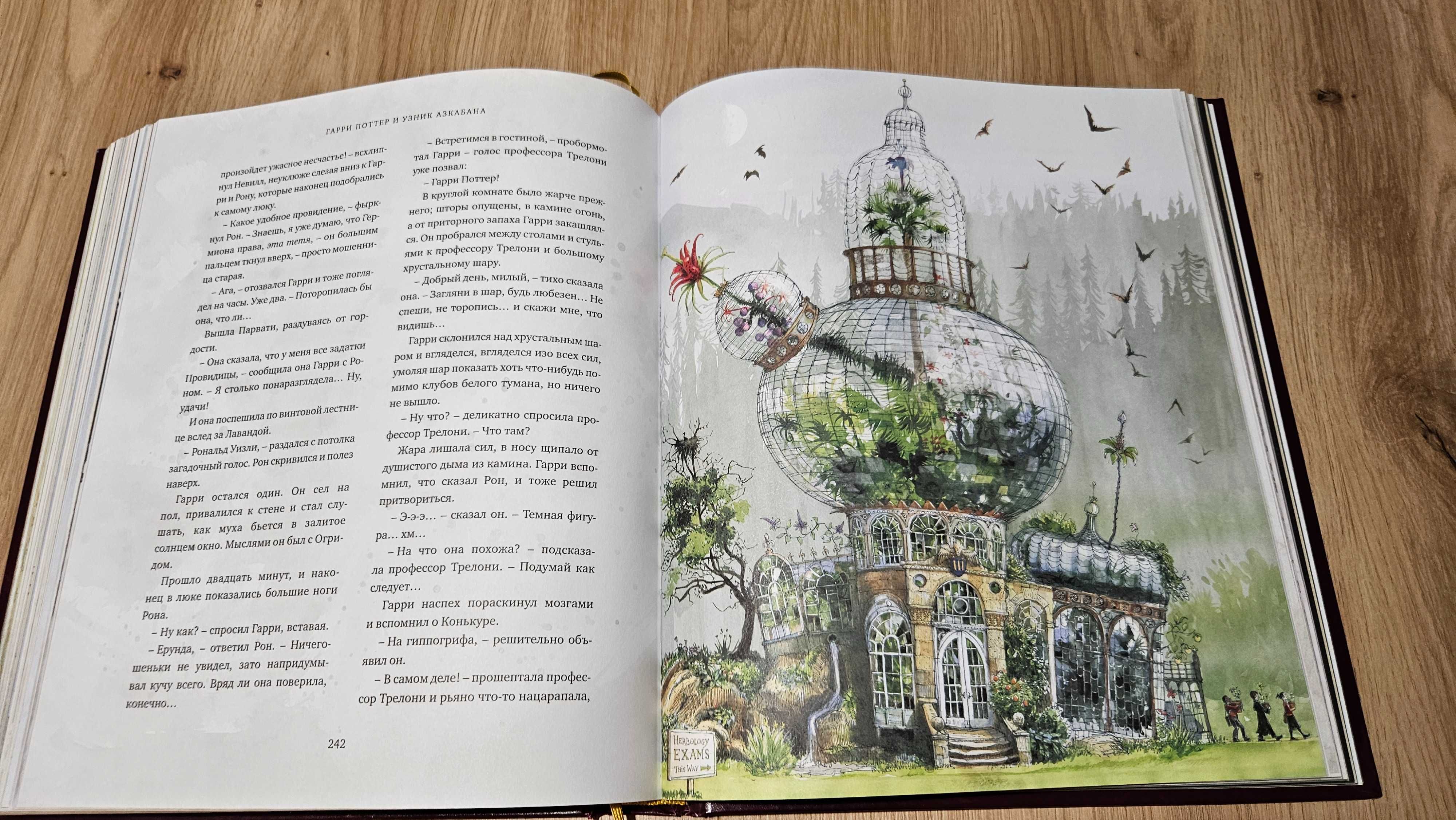 Harry Potter i więzień Azkabanu: ilustrowane wydanie (rosyjski)