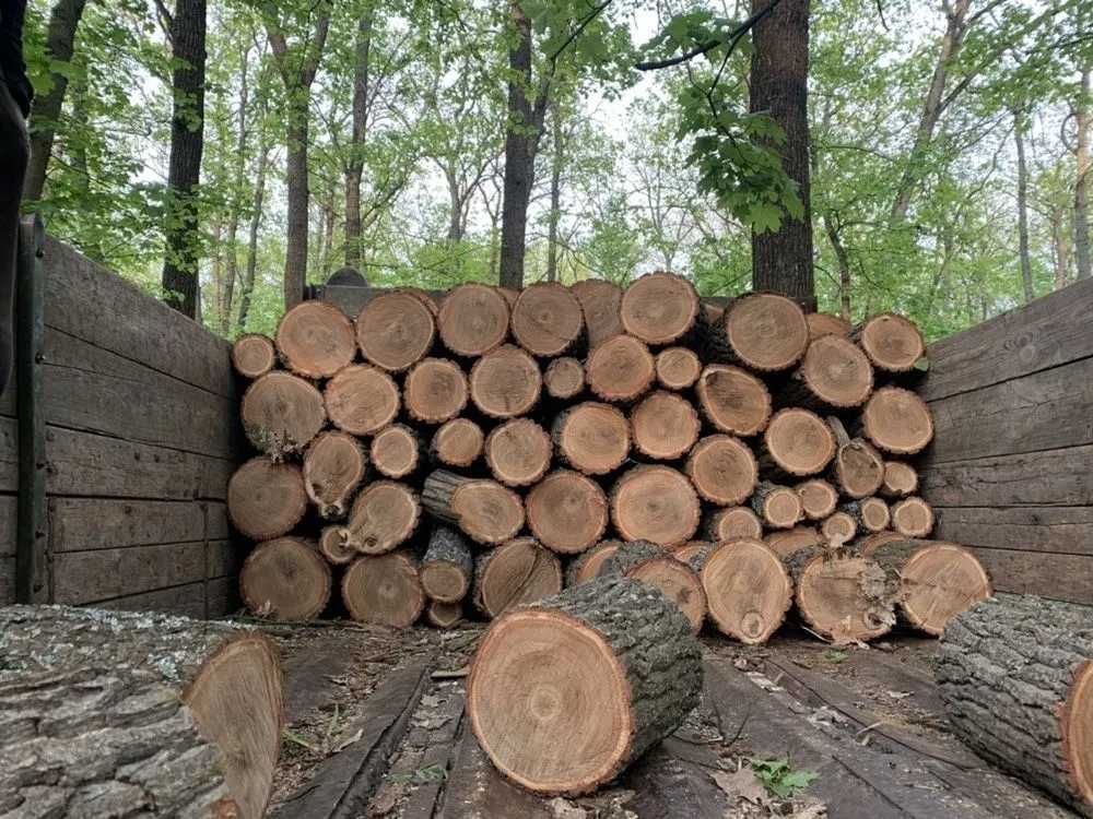 Продам дрова СОСНА,ДУБ метровки,чурки,колотые