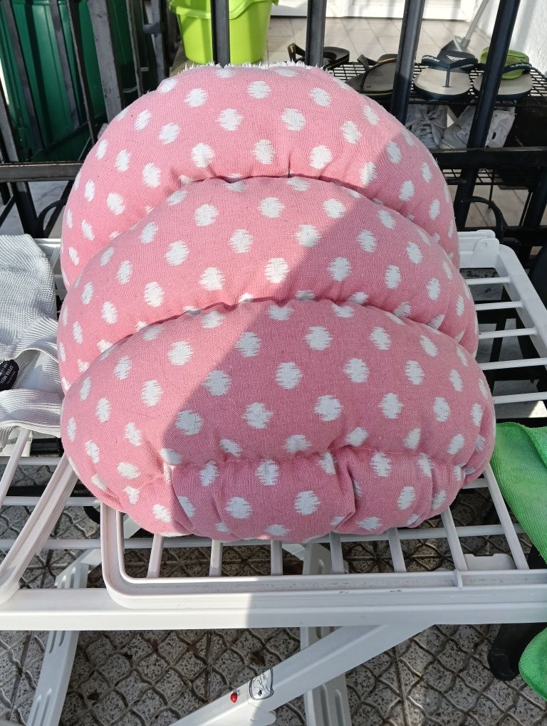 WC para gato & camas para gato e cão