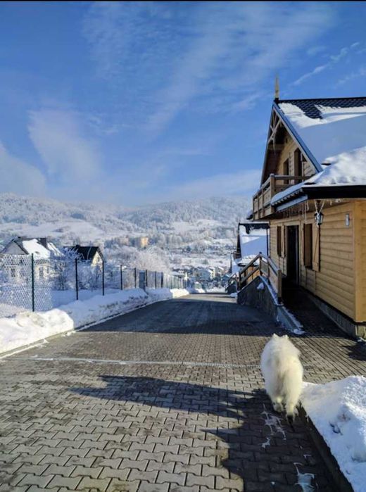 Wynajem klimatycznych Domków z kominkiem Apartamenty MGM Krynica Zdrój