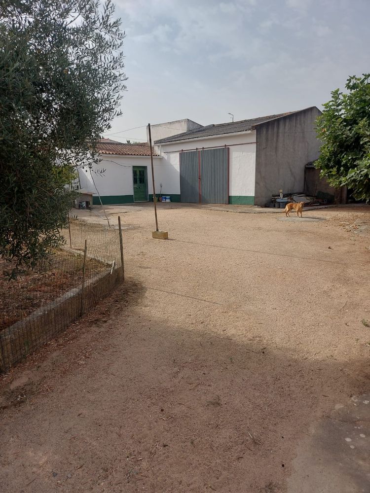 Moradia V2 em Veiros, Estremoz
