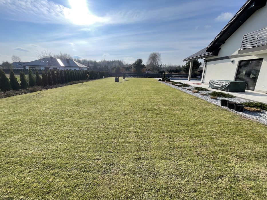 Uslugi ogrodnicze, koszenie trawy, ciecie zywopłotów, wycinka drzew