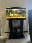 Vendo aquario completo