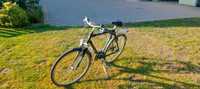 Rower gazelle MODEO track & trail