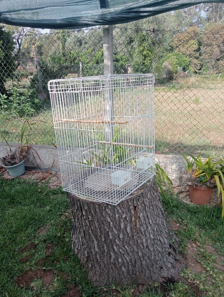 Gaiola para pássaros