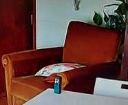 Vendo Sofá de veludo