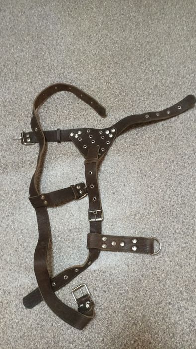 Шлейка  на собаку,продам Шлейку на велику собаку кожана, в гарному ста