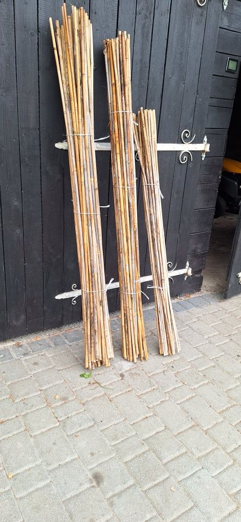 Tyczki bambusowe ,paliki