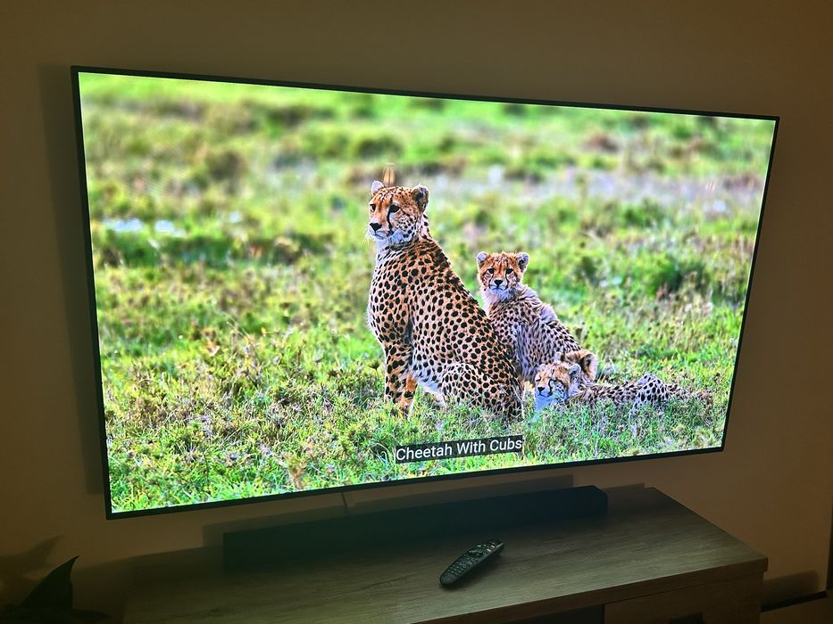 TV LG OLED 65" 4K 100Hz OLED65BX3LB bez wypaleń