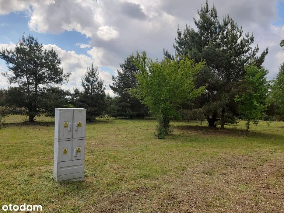 Piastowice, Wągrowiec, Mieścisko