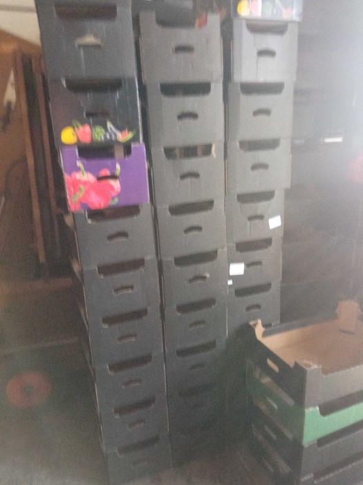 Kartony na paprykę, cukinię, kabaczek ( karton opakowanie pojemnik