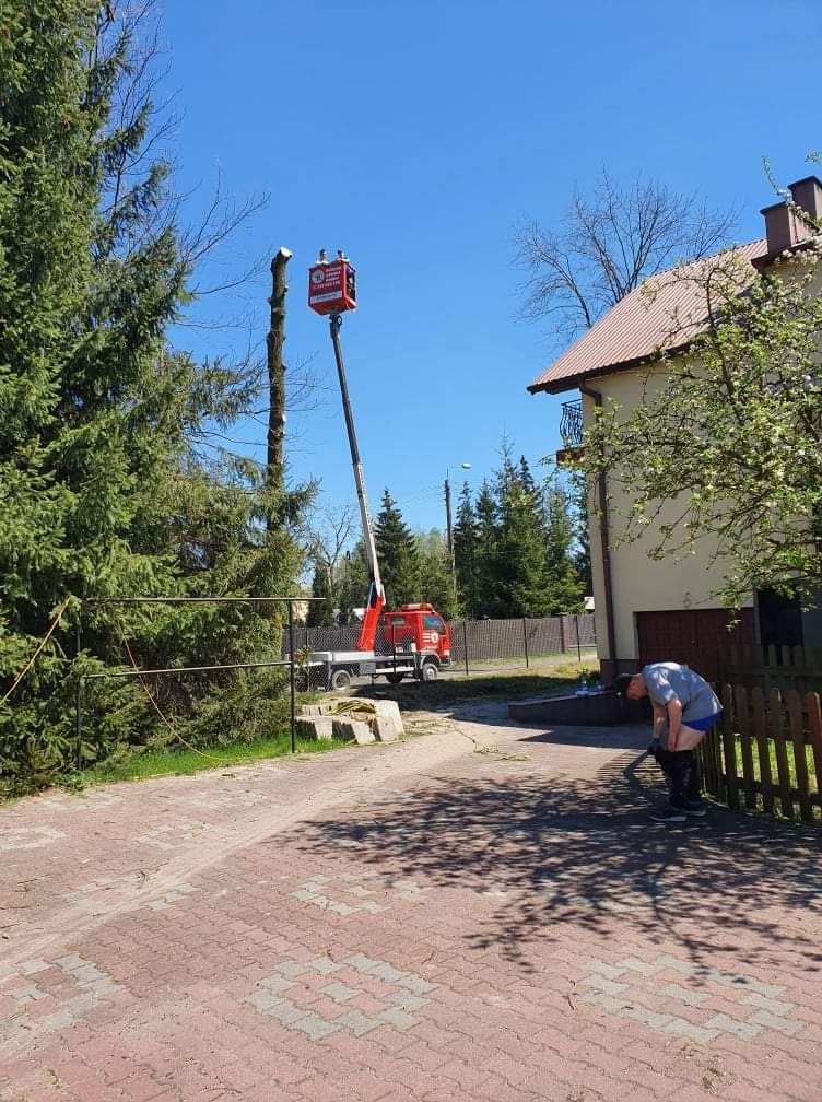 Podnośnik wycinka i pielęgnacja drzew czyszczenie działek rębak