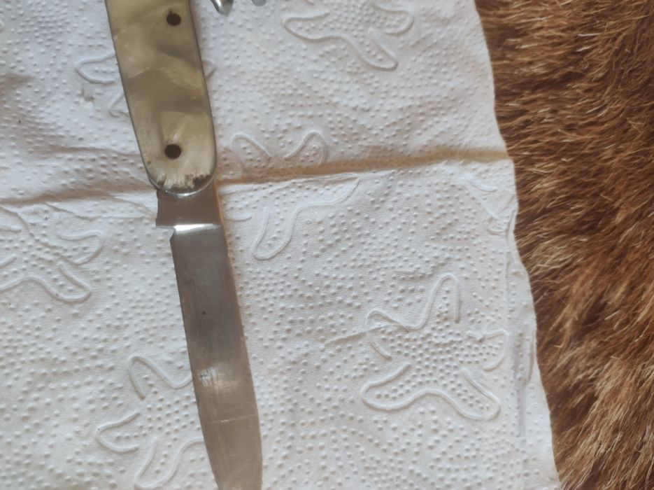 Navalha curel Inox