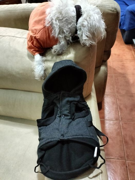 Fatiota de cão /Torres Vedras