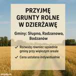 Przyjmę w dzierżawę grunty rolne